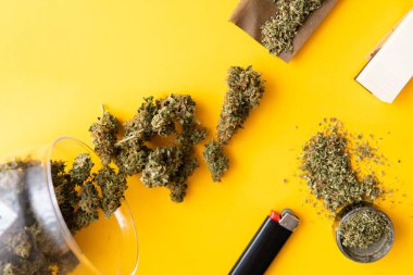 Taze marihuana. Üst Manzara. Sarı arka planda esrar tomurcukları. Kenevir tomurcukları için CBD ve THC. Blunt ve Lighters. Kopya uzayı için arkaplan. Kenevir yasallaştırması.