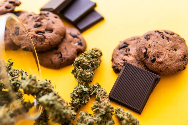 Cannabis CBD kruid Chocolade en koekjes. Behandeling van medicinale marihuana voor gebruik in voedsel, gele achtergrond. Koekjes en chocolade met wiet en knoppen van marihuana op tafel. — Stockfoto