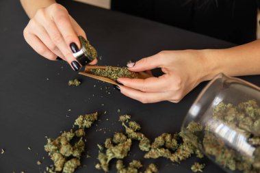 Marihuanayı öğütücüyle kapat. Esrar hazırlayan ve saran bir kadın. Marihuana kullanımı kavramı. Esrar saran bir kadın.