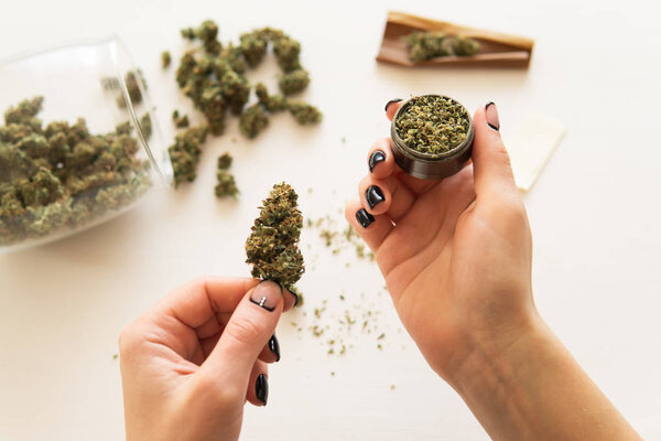 marijuana use concept. Woman preparing and rolling marijuana cannabis joint. Close up of marijuana blunt with grinder. Woman rolling a cannabis blunt on white background. Top view