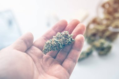 El fenerindeki esrar tomurcukları renk tonlarını sızdırır