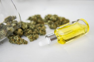 CBD kenevir yağı, doğal bitki, yakın plan, kenevir yağı pipette, tıbbi marihuana konsepti,