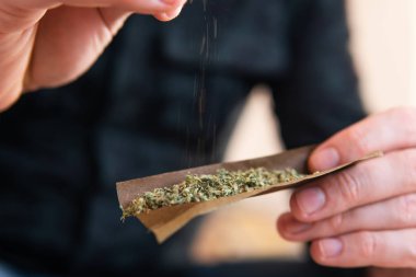 Marihuana kullanan bir adam. Esrar hazırlayan ve yuvarlayan adam Blunt. Marihuana Blunt 'ı çakmakla yakmaya çalış. Kapatın. Uyuşturucu uyuşturucu konsepti.