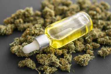 Esrar konsepti, CBD tıbbi petrol, makro, kenevir yağı pipette,