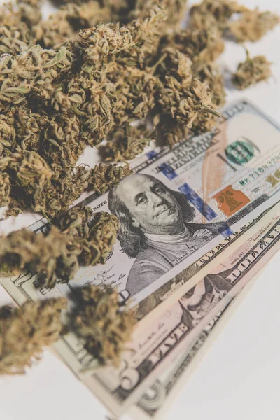 Κάνναβη Στα Οικονομικά Λεφτά Μαριχουάνα Και Χαρτονομίσματα Των Δολαρίων Μπουμπούκια — Φωτογραφία Αρχείου