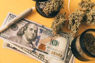 Sativa THC CBD. Esrar. Esrar tomurcuğu ve öğütücü. Indica sağlık sigortası. Marihuana tomurcuğu ve dolar banknotları. Esrar parası kara borsa. Ekonomi 'de esrar. Para otu.