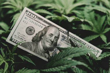 Para ve esrar. Esrar finansmanı. Marihuana endüstrisinin ve sağlık sektörünün gelirleri. Kenevir yapraklarının üzerindeki ABD doları. Vergi ve marihuana. Marihuana endüstrisinin ekonomisi. Dispansere vergi.