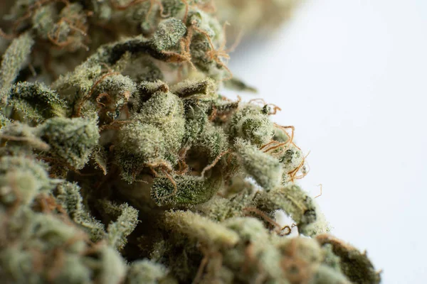 Marijuana Nature Bud Close Thc Kief Grinder Pot Leaves Buds — Stock Photo, Image