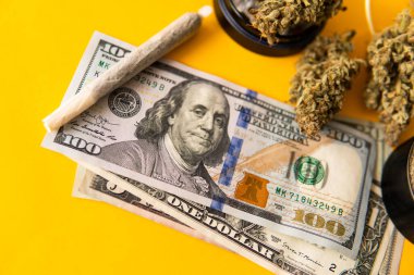 Ekonomi 'de esrar. Sativa THC CBD. Para otu. Esrar. Esrar tomurcuğu ve öğütücü. Indica sağlık sigortası. Marihuana tomurcuğu ve dolar banknotları. Esrar parası kara borsa.
