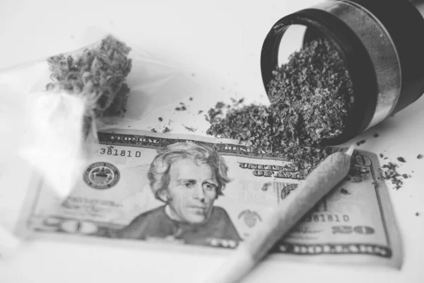 Sativa Tıbbi Sağlığı Marihuana Tomurcuğu Dolar Banknotları Para Otu Ekonomi — Stok fotoğraf