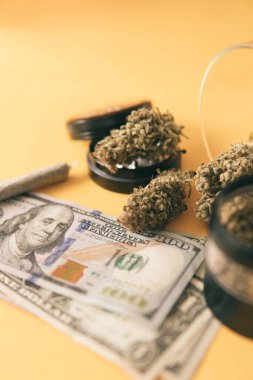 Para otu. Ekonomi 'de esrar. Sativa THC CBD. Esrar. Esrar tomurcuğu ve öğütücü. Indica sağlık sigortası. Marihuana tomurcuğu ve dolar banknotları. Dikey çekim .