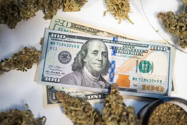 Cannabis Pénz Fekete Piacon Fehér Háttér Kannabisz Közgazdaságtanból Sativa Egészségi — Stock Fotó