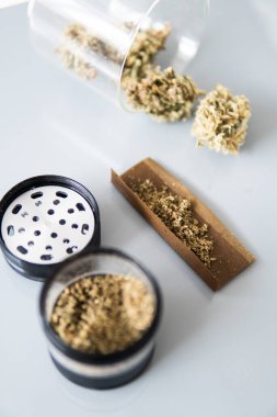 Marihuana doğa otu THC CBD. Esrar tomurcuğu ve öğütücü. Sativa Indica tıbbi sağlığı. Beyaz arka plan. Ot tomurcuklara yapışıyor. Dikey çekim .