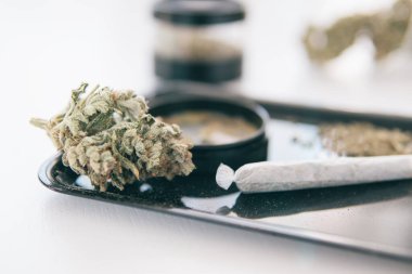 Sativa Indica tıbbi sağlığı. THC Kief öğütücüde. Beyaz arka plan Vartical çekimi. Öğütücü ve esrar otu tomurcuğu. Ot CBD 'nin üzerinde kalıyor. Marihuana doğa otu. Yakın çekim..