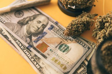 Esrar parası kara borsa. Sativa THC CBD. Ekonomi 'de esrar. Esrar. Esrar tomurcuğu ve öğütücü. Para otu. Indica sağlık sigortası. Esrar tomurcuğu ve dolar banknotları.