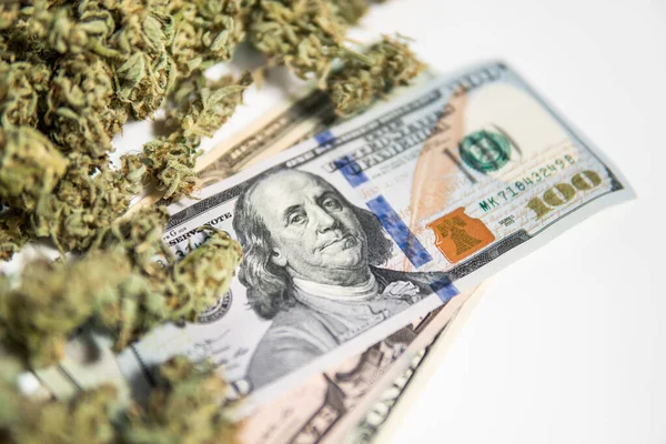 大麻钱黑市 白色背景 Cbd Thc香草 经济学中的大麻 Sativa医疗健康 钱是杂草 大麻芽和美元钞票 花盆发芽了 — 图库照片
