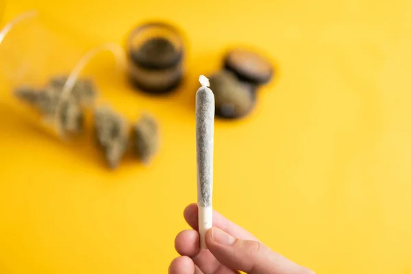 Kannabisz Természet Bimbó Indica Egészségi Állapota Cserepes Levelek Rügyeken Marihuána — Stock Fotó