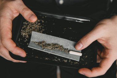 Esrar mekanı. Esrar sarmak. Esrar kullanımı kavramı. Marihuanayı öğütücüyle hazırlıyor ve yuvarlıyor. marijuana