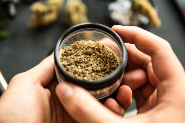 Kenevir tomurcukları için CBD ve THC. Makro kenevir ot tomurcuklanır