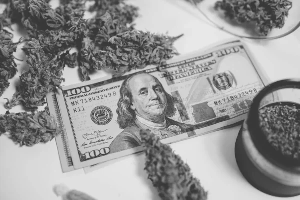Obat Cbd Thc Cannabis Economics Uang Gulma Kesehatan Medis Sativa — Stok Foto