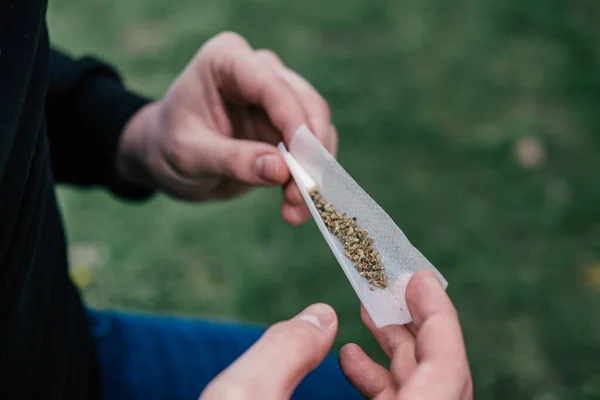 Cannabis Bud Natureza Pote Deixa Botões Bud Maconha Moedor Ervas — Fotografia de Stock