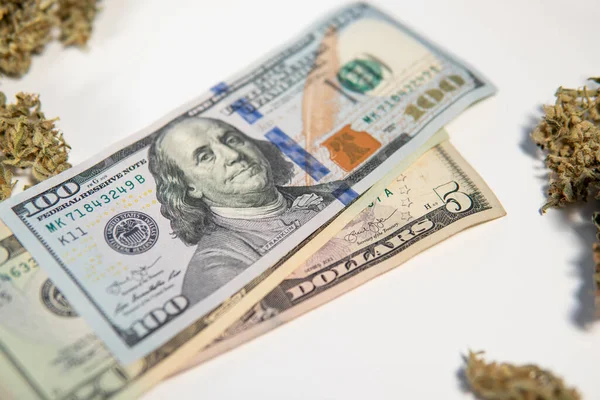 经济学中的大麻 Sativa医疗健康 Cbd Thc香草 锅子发芽了 钱是杂草 大麻芽和美元钞票 大麻钱黑市 白人背景 — 图库照片