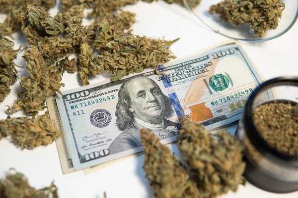 Cbd Thc香草 Sativa医疗健康 大麻芽和美元钞票 钱是杂草 大麻钱黑市 白色背景 锅子发芽了 经济学中的大麻 — 图库照片