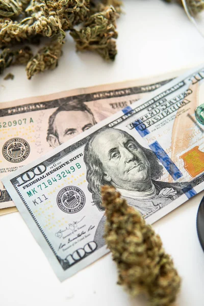 Sativa医疗健康 大麻芽和美元钞票 Cbd Thc香草 锅子发芽了 白色背景 大麻钱黑市 经济学中的大麻 钱是杂草 垂直射击 — 图库照片