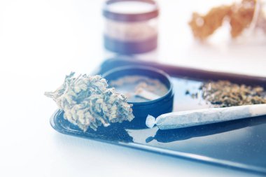 THC Kief öğütücüde. Sativa Indica tıbbi sağlığı. Beyaz arka plan Vartical çekimi. Öğütücü ve esrar otu tomurcuğu. Ot CBD 'nin üzerinde kalıyor. Marihuana doğa otu yakın çekim. Işık tonu sızdırıyor