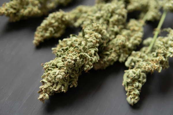 Marijuana Close Natural Medical Pot Black Background Cbd Thc Weed — Stock Photo, Image