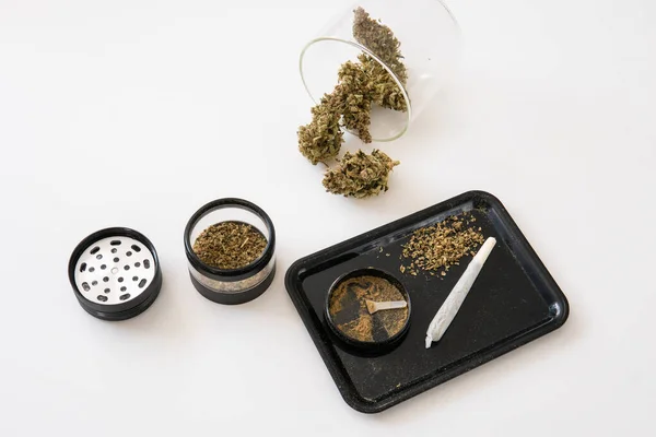 Pot Daun Pada Tunas Cbd Kesehatan Medis Sativa Indica Marijuana — Stok Foto