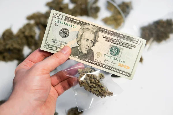 Cannabis Pénz Fekete Piacon Cbd Thc Gyógynövény Füves Bimbók Fehér — Stock Fotó