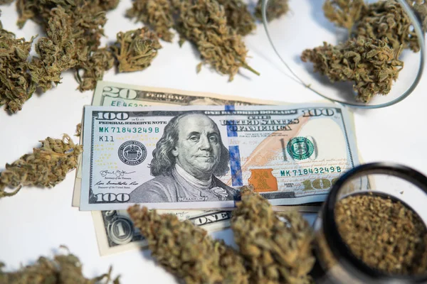 经济学中的大麻 Sativa医疗健康 锅子发芽了 Cbd Thc香草 钱是杂草 大麻芽和美元钞票 大麻钱黑市 白人背景 — 图库照片