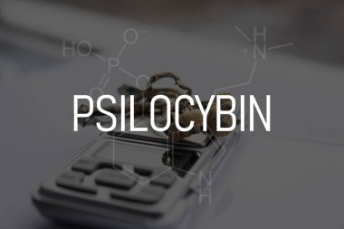 Tahta bir mantarın üzerindeki psilosibin kimyasal formülü. Kuru Psilocybe cubensis. Albino bir tür. Psikedelik ilaç. Büyülü mantarı kapat. Psilosibin mantarı..
