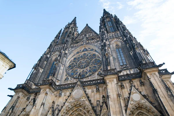 Zamek Katedra Wita Widok Pragę Szczegóły Pragi Starym Mieście Republika — Zdjęcie stockowe