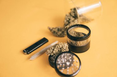 Sativa Indica tıbbi sağlığı. Marihuana doğa otu. Sarı arka plan. Esrar tomurcuğu ve öğütücü. Ot tomurcuklara yapışıyor. THC CBD. Ortak ot.