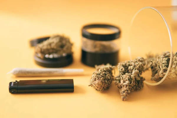 Indica Medicinsk Hälsa Gul Bakgrund Krukan Löv Knoppar Sativa Thc — Stockfoto