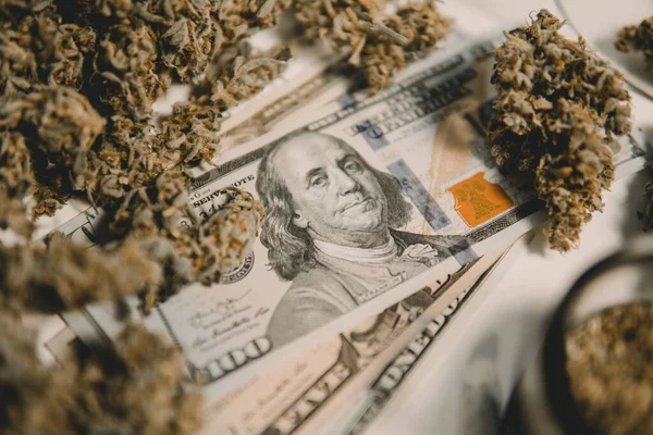 经济学中的大麻 Cbd Thc香草 Sativa医疗健康 大麻芽和美元钞票 钱是杂草 大麻钱黑市 锅子发芽了 白人背景 — 图库照片