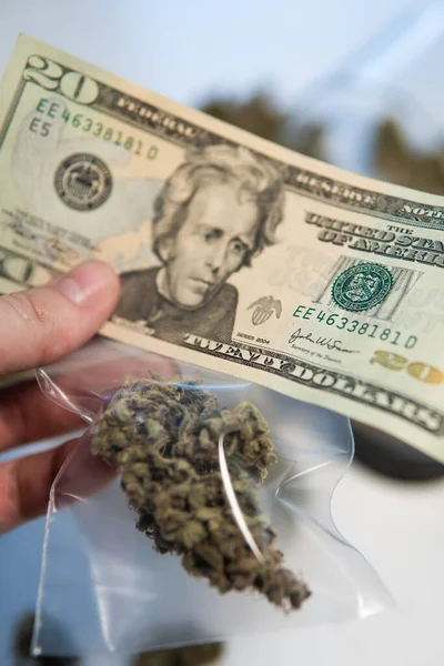 Füves Bimbók Cbd Thc Gyógynövény Kannabisz Közgazdaságtanból Pénz Sativa Egészségi — Stock Fotó