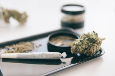 THC Kief öğütücüde. Sativa Indica tıbbi sağlığı. Beyaz arka plan. Marihuana doğa otu yakın çekim. Öğütücü ve esrar otu tomurcuğu. Ot tomurcukların üzerinde kalır CBD.