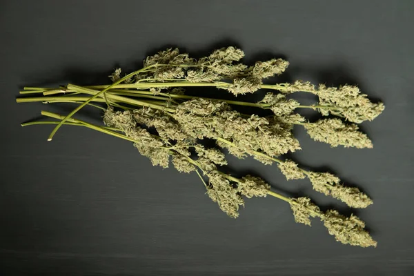天然の医療用ポット 乾燥した大麻の芽の花束 マリファナは終わりだ 黒の背景 Cbd Thc雑草 — ストック写真