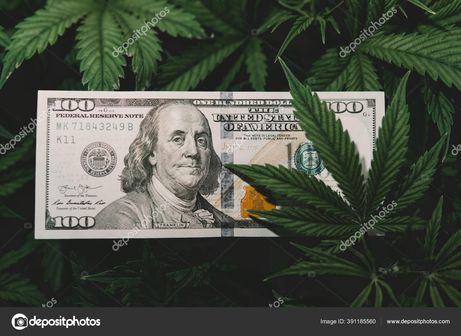 Налоги на марихуану в сша выращивание марихуаны размер горшка