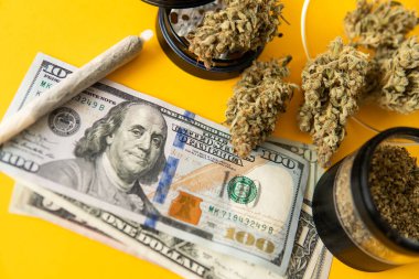 Esrar. Esrar tomurcuğu ve öğütücü. Indica sağlık sigortası. Marihuana tomurcuğu ve dolar banknotları. Esrar parası kara borsa. Ekonomi 'de esrar. Para otu. Sativa THC CBD.