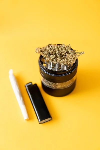 サティバThc Cbd 黄色の背景 マリファナ雑草の芽と粉砕機 鍋は芽に残る 健康状態を示す 大麻の自然芽 — ストック写真
