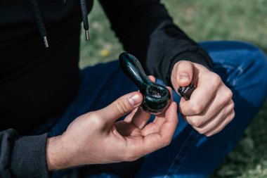 Esrar tomurcuğu ve öğütücü. Kenevir doğa tomurcuğu elimizde. Indica sağlık sigortası. Doğal arka plan. Sativa THC CBD.