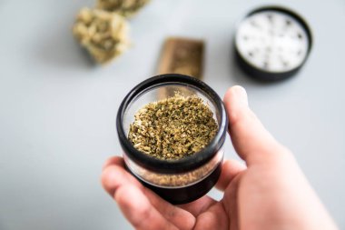 Marihuana doğa otu THC CBD. Sativa Indica tıbbi sağlığı. Beyaz arka plan. Ot tomurcuklara yapışıyor. Esrar tomurcuğu ve öğütücü.