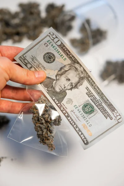 Cannabis money black market. Marijuana bud and banknotes of dollars. White background. The pot buds. CBD THC herb. Cannabis in Economics. Money weed. Sativa medical health. Vertical shot .