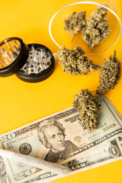 Marihuána Dollárbankjegyek Cannabis Pénz Fekete Piacon Közös Kannabisz Közgazdaságtanból Sativa — Stock Fotó