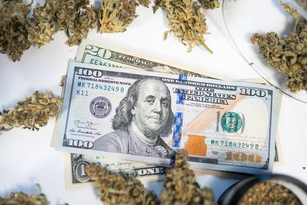 Fehér Háttér Kannabisz Közgazdaságtanból Sativa Egészségi Állapota Füves Bimbók Cbd — Stock Fotó
