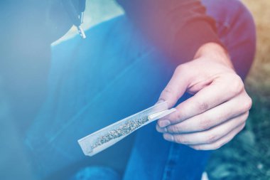 Kenevir doğa tomurcuğu elimizde. Esrar tomurcuğu ve öğütücü. Indica sağlık sigortası. Sativa THC CBD. Doğal arka plan. ışık tonu sızdırıyor